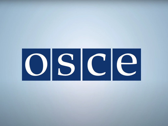 В ДНР запретили деятельность Специальной мониторинговой миссии ОБСЕ