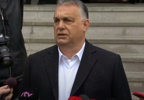 Депутат Верховной рады Алексей Гончаренко заявил, что, вероятно, премьер-министр Венгрии Виктор Орбан желает стать врагом Киева