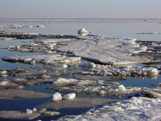 Соцсети: ледоход в Кемерове сносит деревья и лестницу на набережной