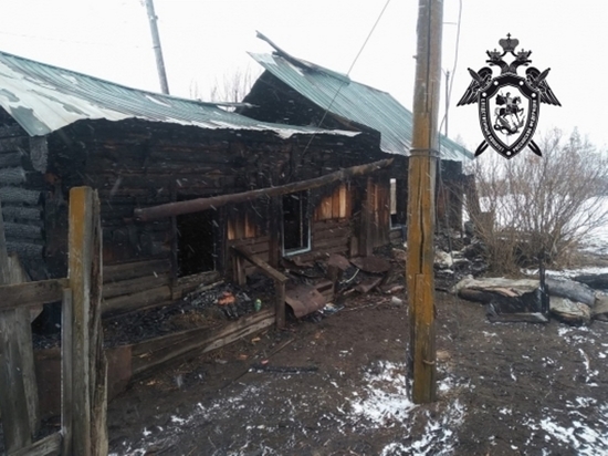 Уголовное дело возбудили по смерти трех человек на пожаре дома в Балее