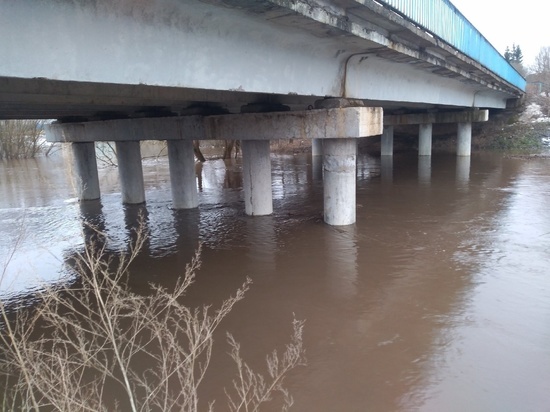 Поднялся уровень воды в Вельгии в Боровичском районе