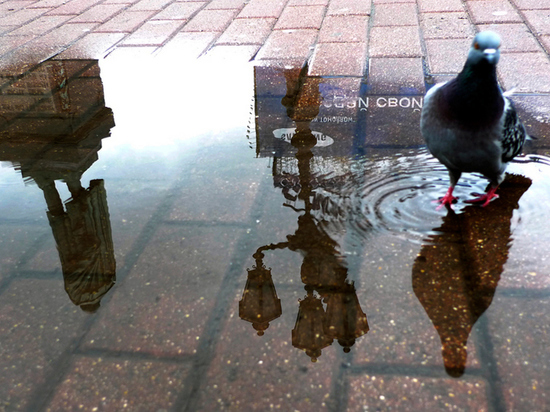 Назван самый теплый день на следующей неделе в Москве