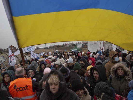 Украинские беженцы в Европе оказались недовольны приемом и нападают на русских - «Общественные новости»