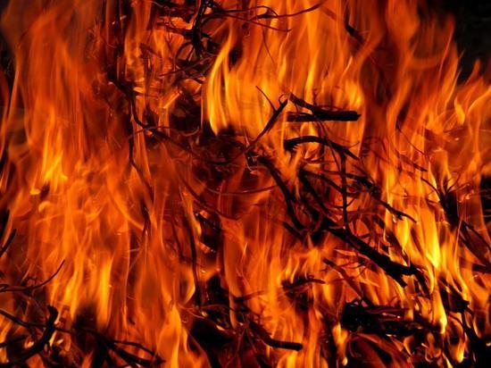 Пожарные 9 апреля четыре раза тушили палы сухой травы в Калининградской области