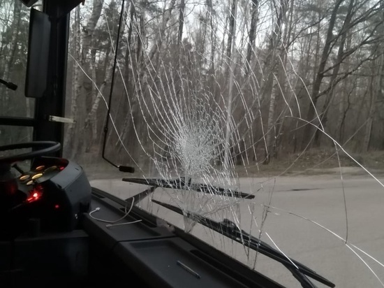 В Калининграде 73-летний пассажир ударил водителя за то, что тот не остановился