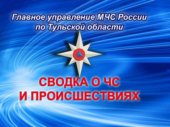 В Тульской области с 9 по 10 апреля произошло 6 пожаров