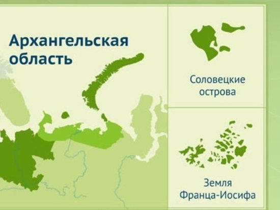 Библиотека имени Гайдара начала отмечать 85-летие Архангельской области