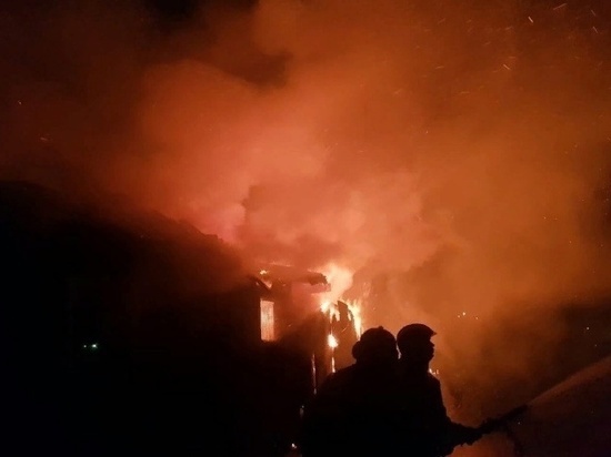 Хозяйственная постройка вспыхнула в ночь на 10 апреля в Руссковицах