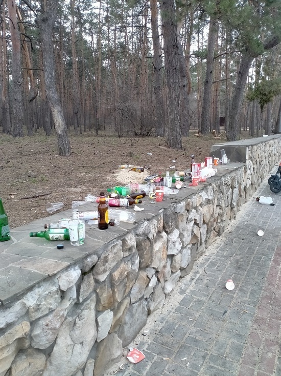 Воронежцев возмутила заваленная мусором центральная аллея в парке «Танаис»