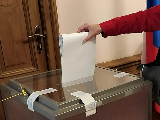 Макрон набрал в первом туре выборов 28,5% голосов избирателей