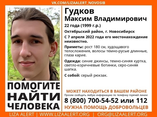 Длинноволосый парень с грустными глазами пропал в Новосибирске