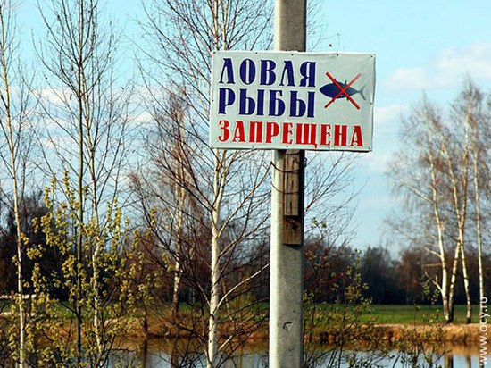В Костромской области вводятся ограничения на рыбную ловлю