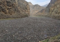 Одной из самых скандальных тем в новостной ленте Дагестана минувшим летом стало плачевное состояние горных рек