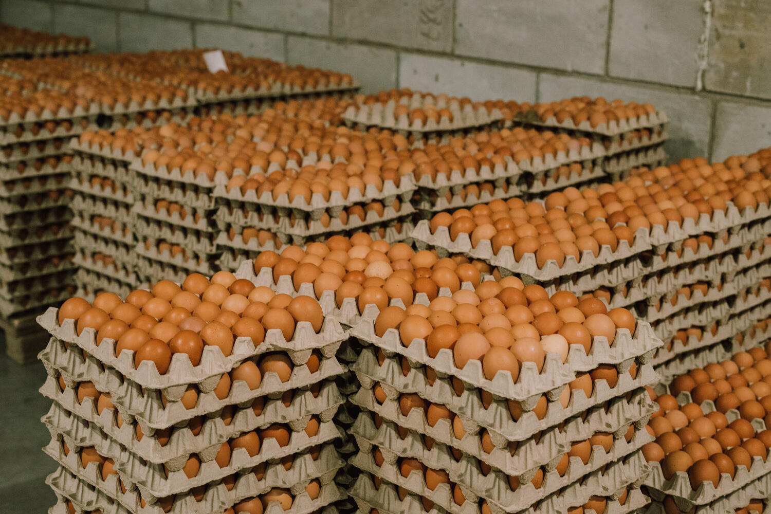 Птицефабрика улан удэ продажа