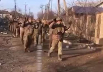 В ходе ликвидации мариупольского «котла», где окружены остатки группировки Вооруженных сил Украины (ВСУ) и нацбатов, сложили оружие несколько сотен украинских морских пехотинцев