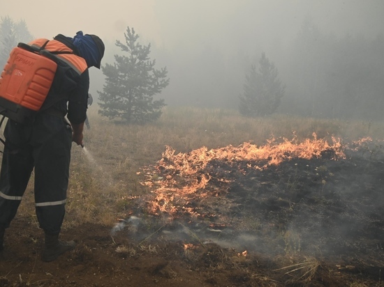 На Южном Урале зафиксированы первые лесные пожары