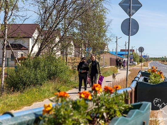 Активисты ТОС приобретут за счет гранта цветочную рассаду и оплатят транспортные услуги