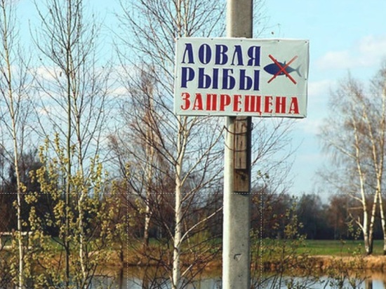 В Ярославской области ограничена рыбалка на озере Плещеево