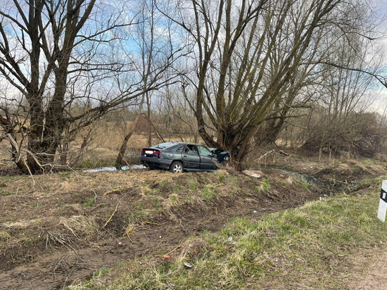 В Славском районе Renault съехал в кювет и врезался в дерево