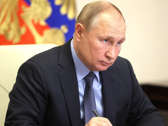 Переговоры Путина и Нехаммера продлились полтора часа