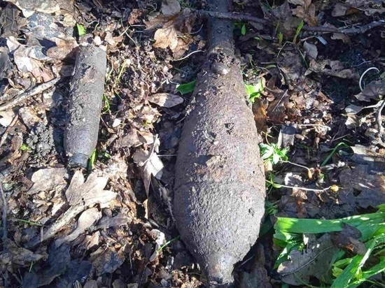 Белгородцы прибирали на кладбище и нашли гранату времен Великой Отечественной войны