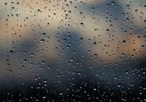 Во Владивостоке во вторник, 12 апреля, дождливо и пасмурно. По данным сайта Примпогоды, днем прогнозируется сильный ветер и умеренный дождь.