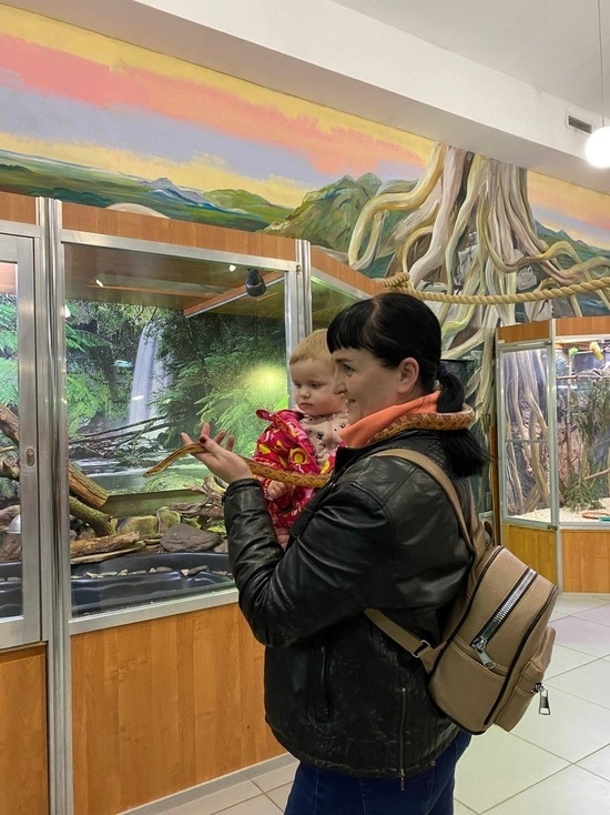 Беженцам из ДНР показали Ярославский зоопарк