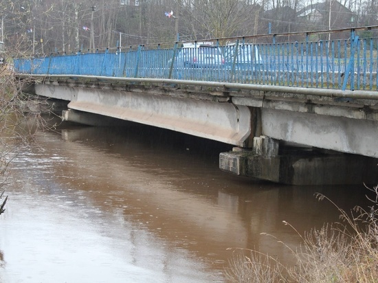 Под водой в Крестцах оказались более 30 огородов