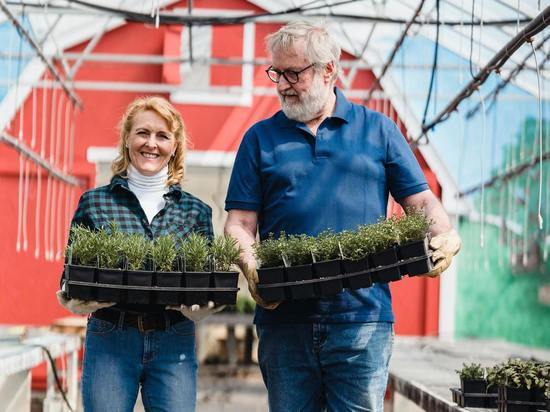 Дачникам рассказали, как быстро укоренять черенки: в воде, грунте, вермикулите