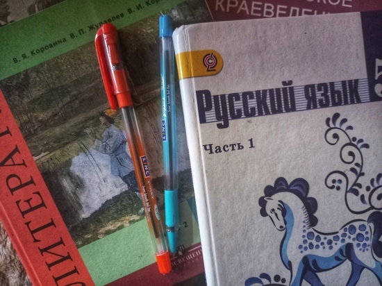 Дети из новых районов ДНР будут учить летом русский и историю