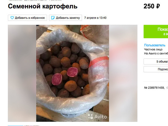 В Челябинске продают картофель по 250 рублей за килограмм