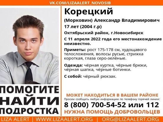В Новосибирске объявили в розыск 17-летнего школьника