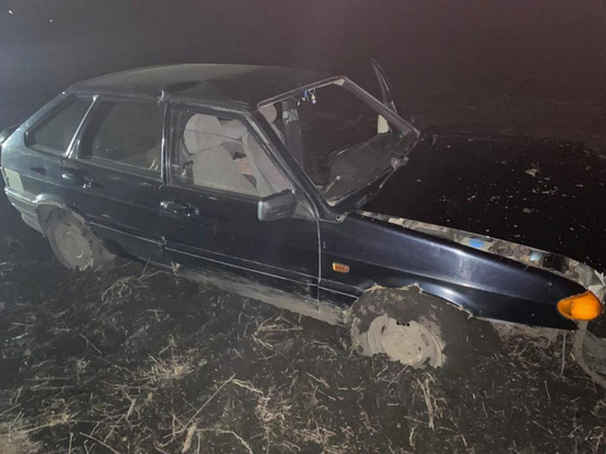 Под Воронежем в улетевшем в кювет автомобиле пострадали два человека