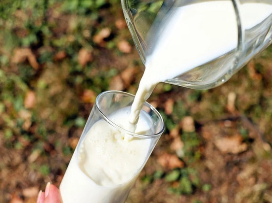 Эксперты рассказали, какая польза есть в растительном молоке