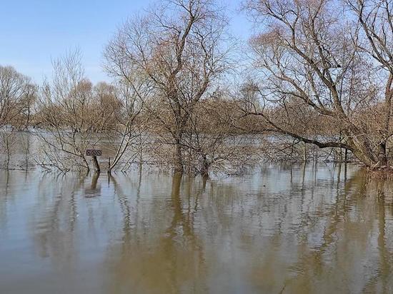 Под Рязанью изменят маршруты общественного транспорта из-за половодья