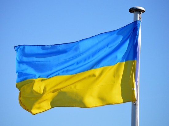 Ученые из РВИО предложили провести денацификацию на территории всей Украины
