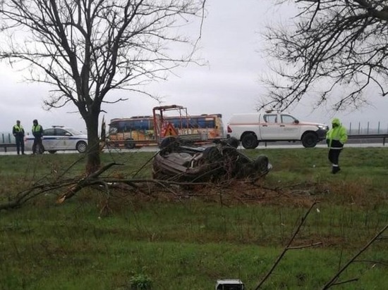 В Кущевском районе водитель иномарки влетел в дерево, погибли два человека
