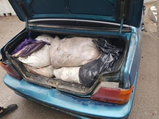 Автомобиль с 200 кг рыбы остановили полицейские в Волгограде