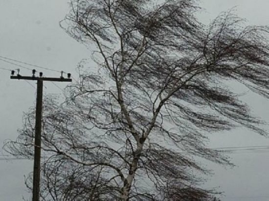 В Калмыкии вновь прогнозируют ветер