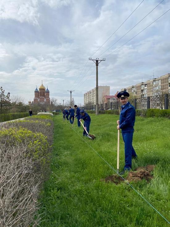 Сотрудники калмыцкой прокуратуры отметили юбилей посадкой деревьев