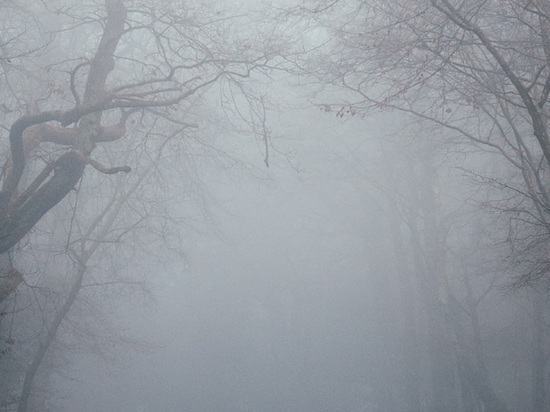 Почти как в Лондоне: Кострома по вечерам скрывается в тумане