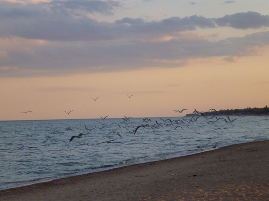 На помощь заповедной зоне на юге ДНР пришли Ямал и Камчатка