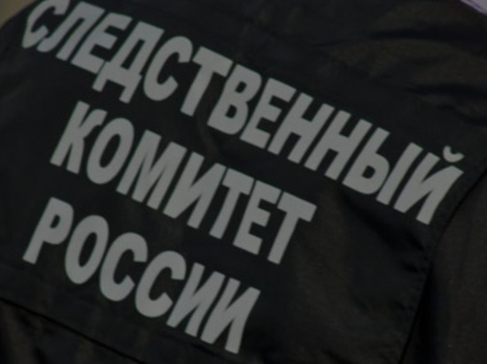 СК завел дело на депутата Рады Наливайченко за «призывы к насилию»