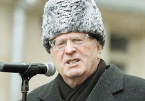 С момента смерти основателя и бессменного лидера партии ЛДПР Владимира Жириновского прошло девять дней