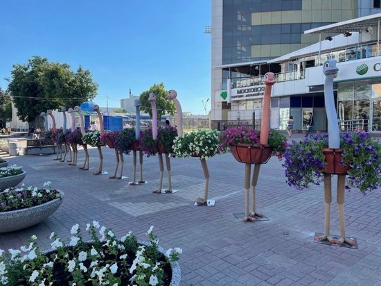 В Курске 11 цветочных страусов с улицы Ленина переедут в парк Дзержинского