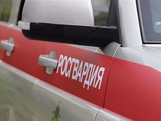 В Курске на улице Октябрьской у «Линии» росгвардейцы задержали дебошира