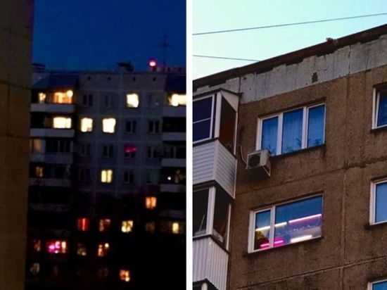 Агрономы раскрыли тайну розовых окон в Новосибирске