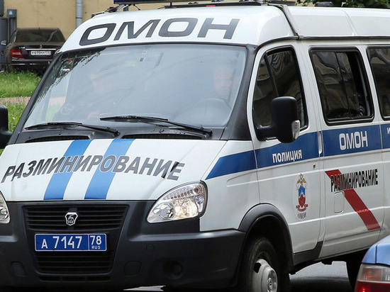 Три уголовных дела возбудили в Петербурге после очередной серии «минирований»
