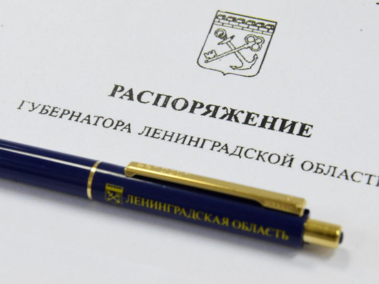 Одаренные дети-сироты в Ленобласти получат стипендии от губернатора региона