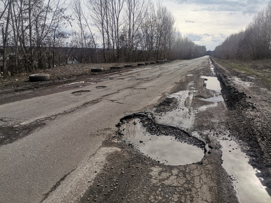 Активисты ОНФ обратили внимание областных властей на аварийное состояние дороги в объезд Воронежа